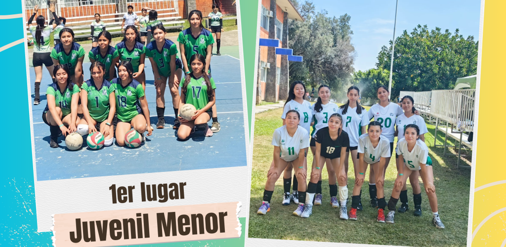 Voleibol poniente
