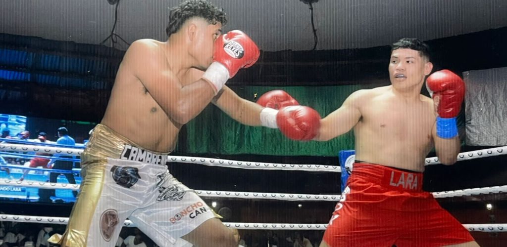 WhatsApp Image 2025-12-09 at 16.53.32 (1)